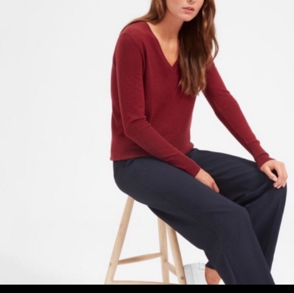 Everlane Sweaters - Everlane Chashmere V-Neck Sweater